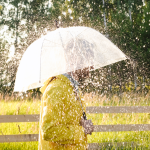 SPO News: Förderung schafft Barrierefreiheit in Pfahlbauten am Strand 2024