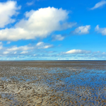 Hundeurlaub in Sankt Peter-Ording: Hundestrände und tierfreundliche Unterkünfte