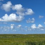 SPO News – Der Sommer in Sankt-Peter-Ording